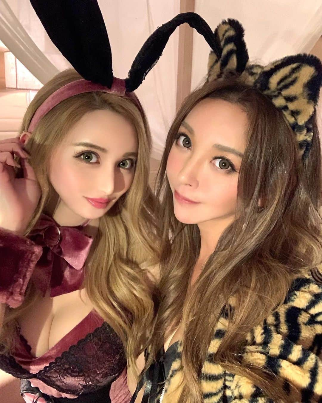 山崎みどりさんのインスタグラム写真 - (山崎みどりInstagram)「今年の私のコスは @dazzy_official ♡  🐯＆🐰 @hozunyam0818   耳に耳が刺さってる😁 ────────────────────────── #dazzy#コスプレ#halloween #halloweencostume #costume#セットアップ#アニマルコス#🐅#🐯#halloweenparty @dazzy_official  #グランピング　@keikokuglampingtent」11月4日 16時23分 - midori_yamasaki_