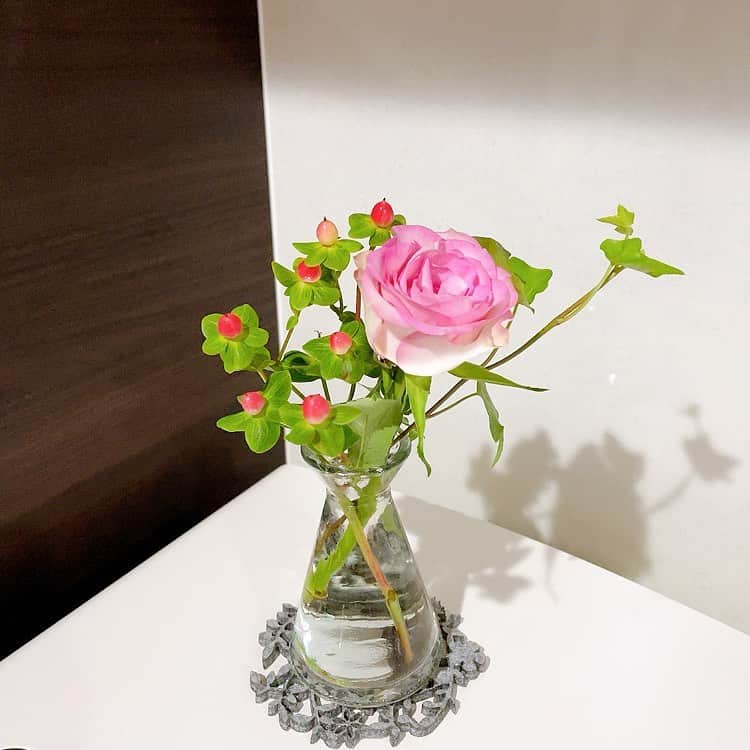 菊池桃子さんのインスタグラム写真 - (菊池桃子Instagram)「* 今週のお花です。 今回のバラはコロッと丸味があり ホッコリします。 毎週、同じものを義母にも贈っているのですが お義母さん、ヒペリカムの実を見たら 「可愛らしいわね👵🏻❣️」って喜んでくれそう。  お義母さん、機会をみて、 また植物園にお連れしますね！！😉  #バラ💗 #ヒペリカム❤️ #アイビー💚」11月4日 16時29分 - momoko_kikuchi_official