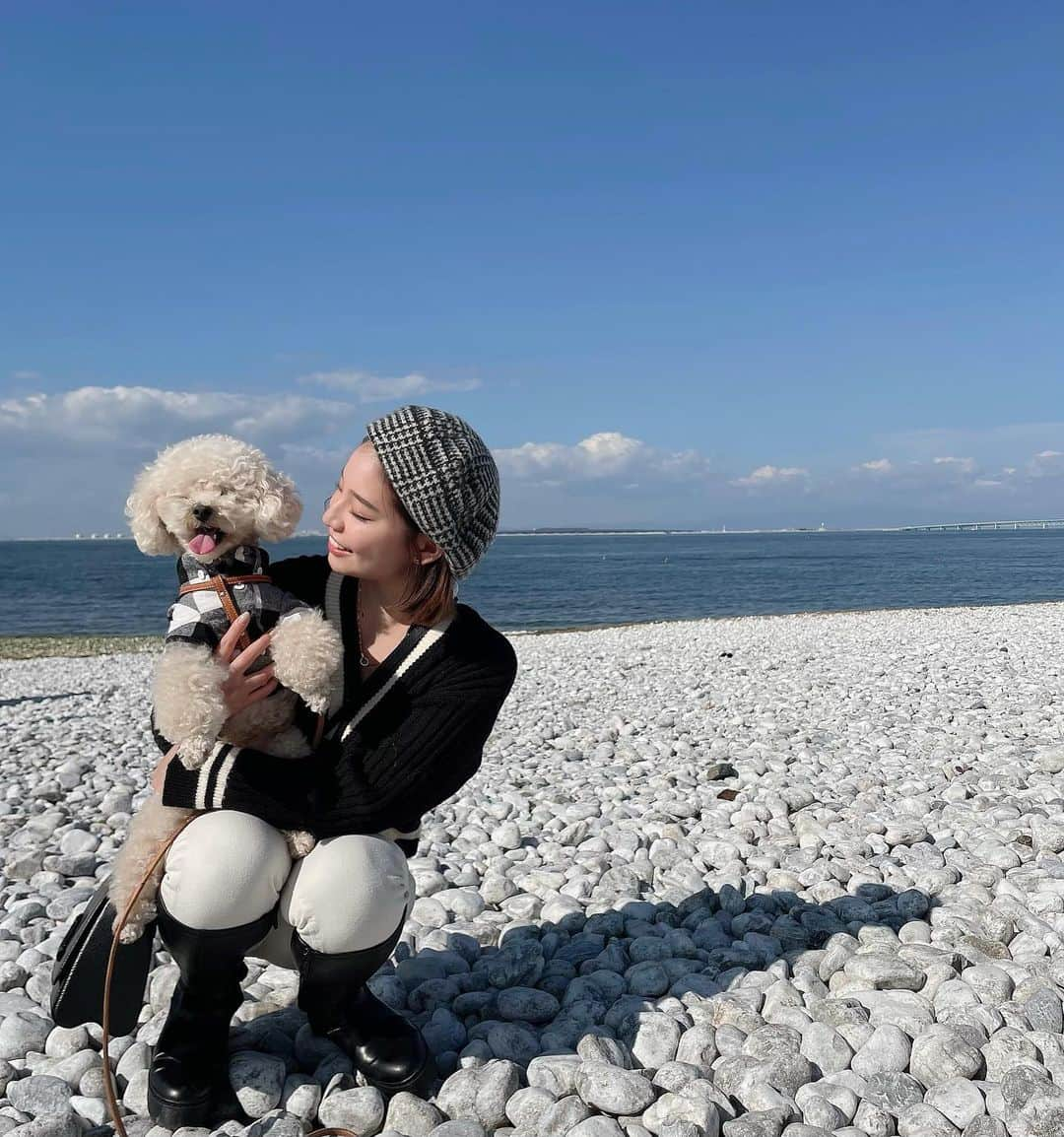 久松かおりのインスタグラム：「. らぴと泉南ビーチに😊🌊🎶 久しぶりのお出かけにわくわくしてて愛おしかった💭❤️ . またお出かけ行こうね〜っ！ @rapistagrm  . . #愛犬のいる生活 #親バカ #愛犬家 #トイプードル #アプリコット #ランチ #犬連れランチ #ふわもこ部 #かわいい #男の子 #犬スタグラム #いぬのきもち #いぬすきさんと繋がりたい #🐶 #followｍe」