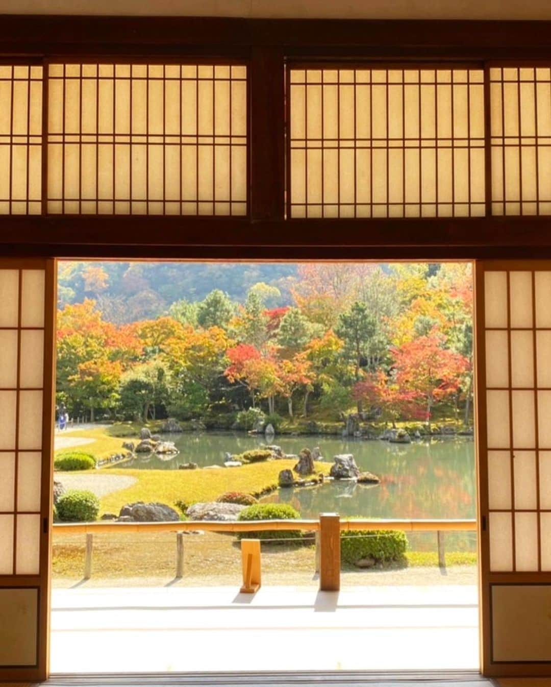 吉田有希さんのインスタグラム写真 - (吉田有希Instagram)「🥺⛩🌿🍁 #japan #kyoto #arashiyama #bambooforest #京都  #渡月橋 #天龍寺」11月4日 21時35分 - yuuki329_h