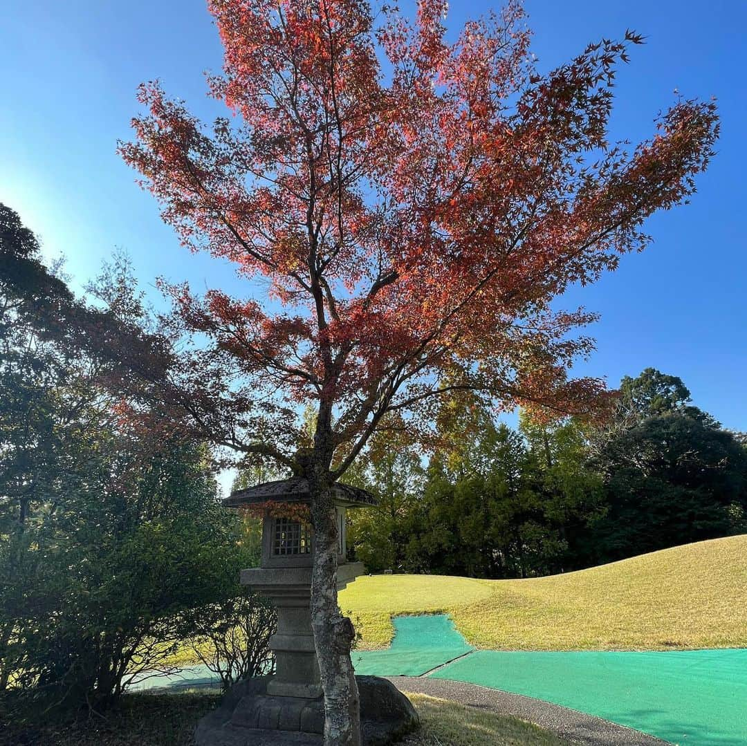 佐野真彩さんのインスタグラム写真 - (佐野真彩Instagram)「久しぶりのゴルフ投稿⛳️ （この夏ゴルフに行けなかったので、久しぶりになってしまいました💭）  季節的に抜群🍁 お天気も最高で気持ちよくラウンド出来ました。  クラブを新調しました‼︎ ドライバー、ウッドを @callawaygolf_japan のEPIC MAXに。  しっかりフィッティングをした事もあって、曲がらなくなりました😳 みどりのキャロウェイも良いですね〜👍🟢  ウェアは　@archivio.official_online ⛳️ 秋らしいコーデで紅葉とマッチ🍁 特にこのスカート、色合い、デザイン可愛くないですか？💕  ゴンドラで移動するゴルフ場で楽しかったです🚡詰まっていなくて快適スイスイゴルフでした☺️  📍@mannacountryclub   #archivio #アルチビオ　#ゴルフウェアレディース #秋ゴルフ　#ゴルフ好き女子 #キャロウェイゴルフ #みどりのキャロウェイ　#マーベリック　#epicmax #epic #ゴルフ女子 #ゴルフコーデ　#真名カントリークラブ #千葉ゴルフ　#佐野ゴルフコーデ」11月5日 18時45分 - sano.maya