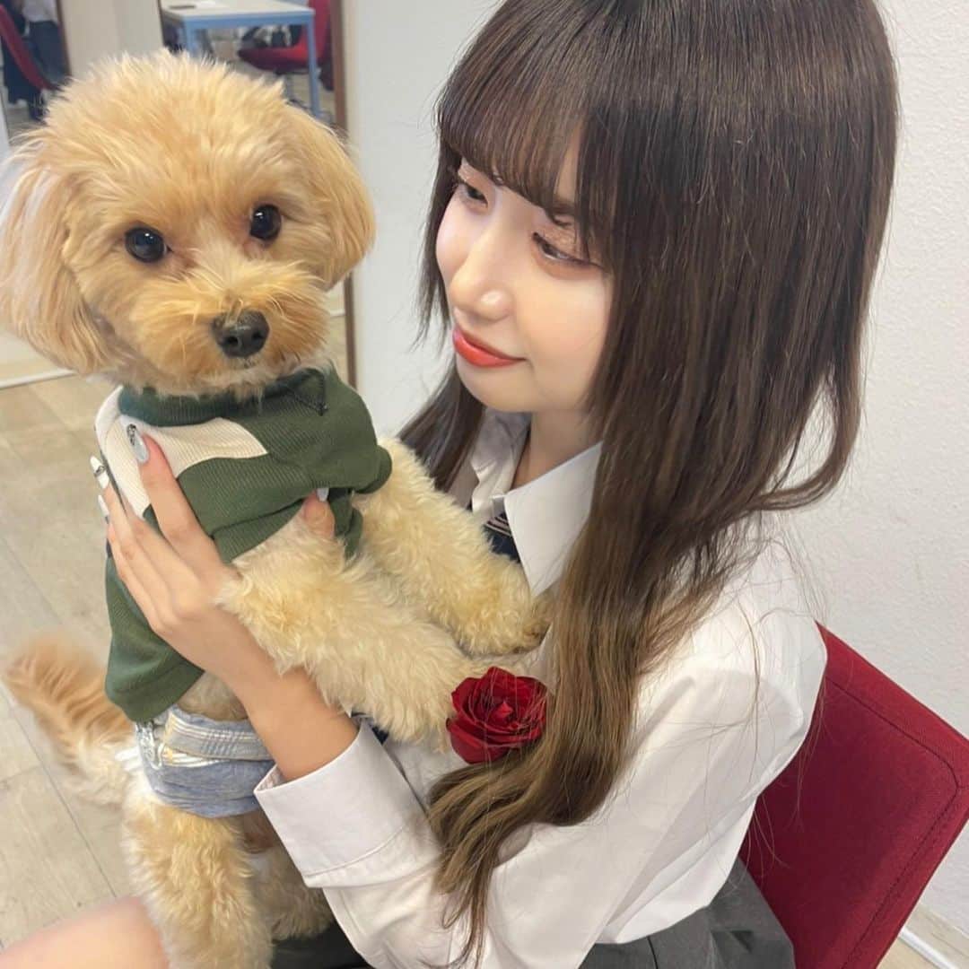 新塘真理のインスタグラム