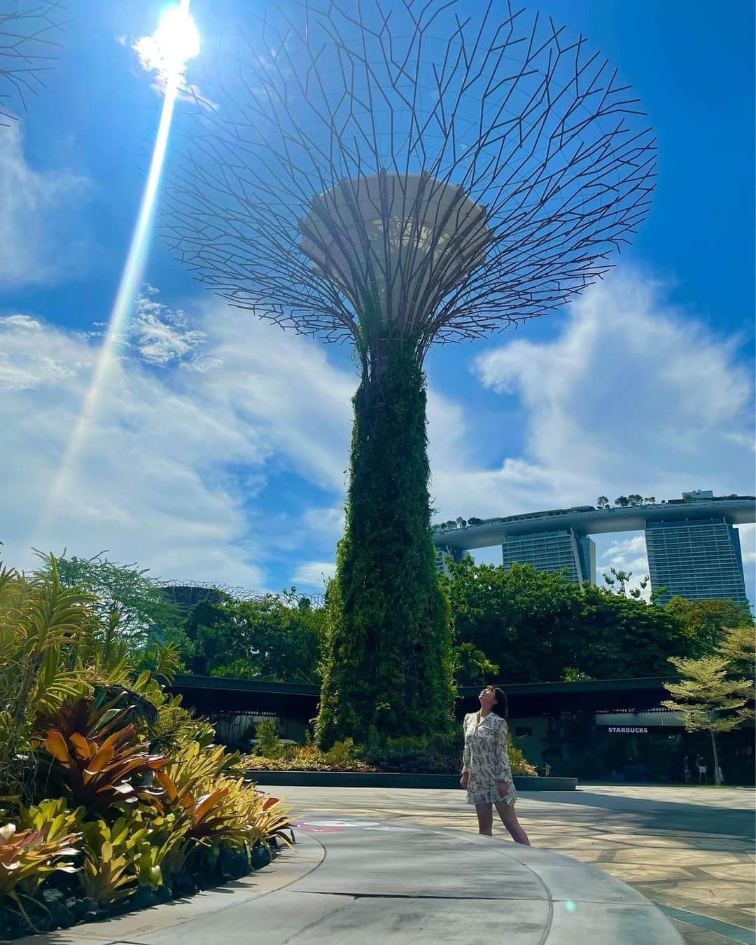 橘まりやさんのインスタグラム写真 - (橘まりやInstagram)「『Gardens by the Bay』  加工一切なしの青空だったよ☀️ This picture has not been tweaked or filtered!  #gardensbythebay #gardenbythebay  #singaporelife #singapore #singaporegirl #singaporeinsta #シンガポール在住 #シンガポールライフ #シンガポールおすすめ #シンガポール情報 #シンガポール美女 #シンガポール #シンガポール生活 #抱き心地ナンバーワングラドル #メリハリむっちりボディー #橘まりや #グラビア #グラドル #タレント #pinupgirl #pinupmodel #bikinimodel  #sexy #japanesegirl #idol #그라비아  #아이돌 #followｍe #偶像 #寫真偶像」11月5日 11時11分 - mariya_tachibana_official