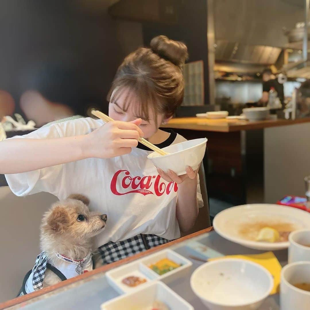 堀尾実咲のインスタグラム：「HAPPY BIRTHDAY ロイ🐻🎉  11/3に6歳になりました☺️  みんなに新しい家族が出来ましたとロイを紹介したあの日から 月日が経ってもう6歳だなんて 信じられない‼︎🥺✨  ずっと元気いっぱいパワフルで 変わらずわたしの側に居続けてくれて本当にありがとうロイ☺️✨  とっても頼もしい男の子だけど 甘えんぼちゃんな一面もあって ほんと愛おしい☺️💖  これからもずっとよろしくね💓  大好きよ、ロイ☺️💖  #愛犬  #ポメプー #お誕生日おめでとう」