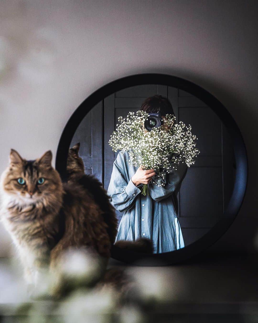 柳澤麻衣のインスタグラム：「Hi👋😽Happy Friday with baby’s breath.  みなさんどうぞ楽しい週末を😸😸😸」