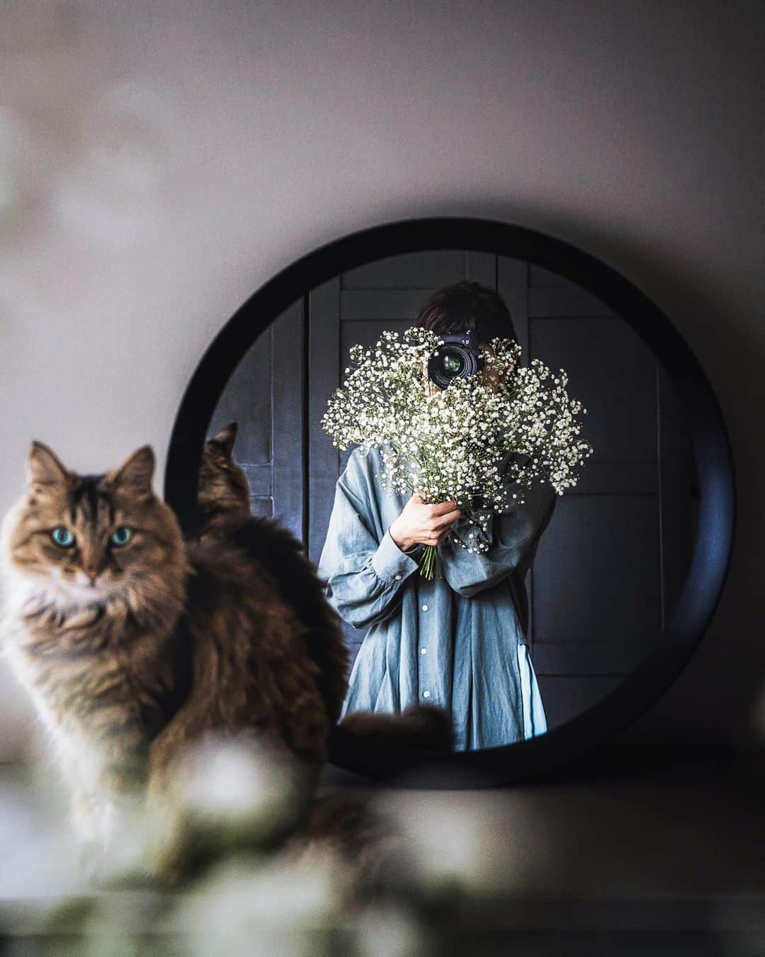 柳澤麻衣さんのインスタグラム写真 - (柳澤麻衣Instagram)「Hi👋😽Happy Friday with baby’s breath.  みなさんどうぞ楽しい週末を😸😸😸」11月5日 20時17分 - toile_blanche