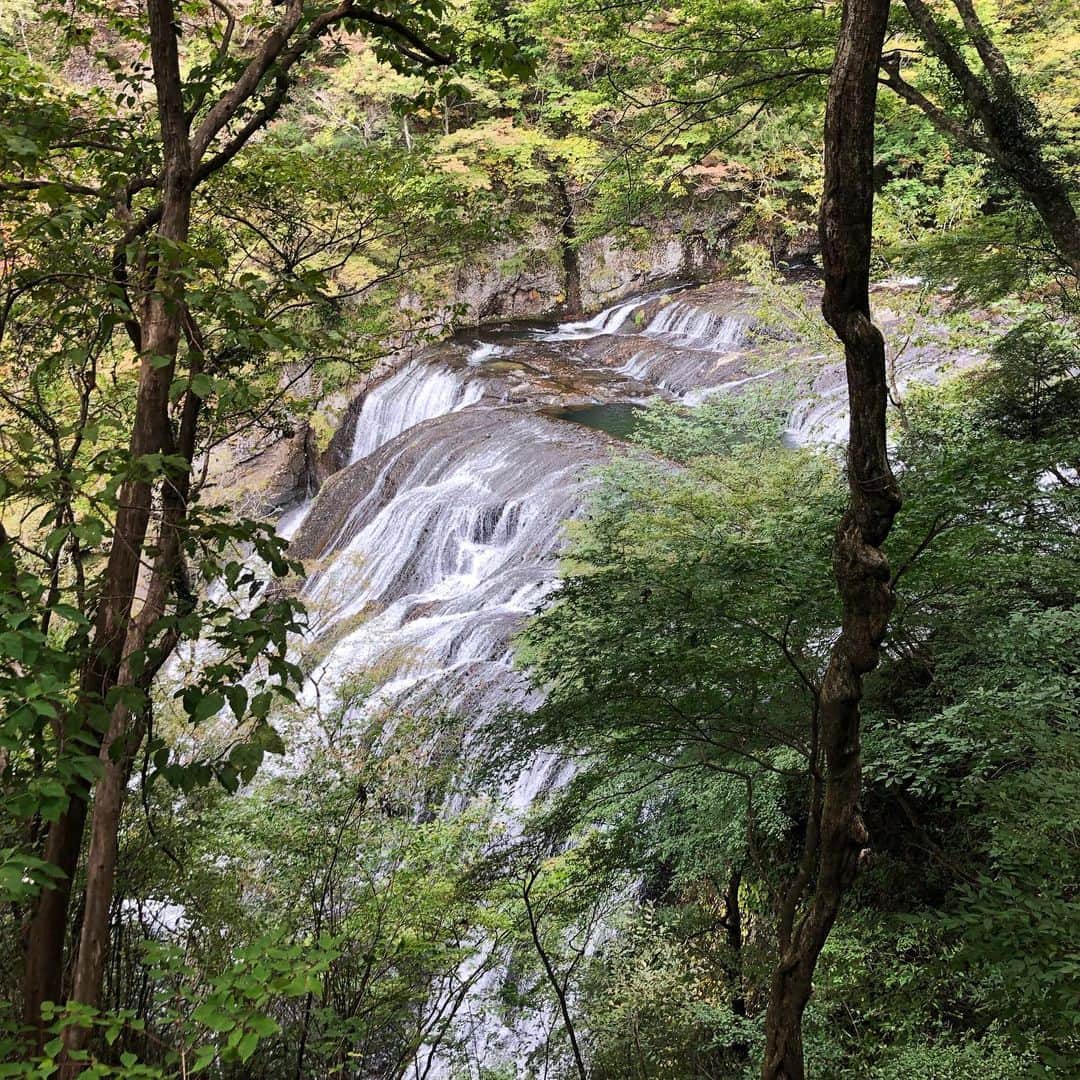 まゆみさんのインスタグラム写真 - (まゆみInstagram)「#⛰️❤️   袋田の滝を終着点にハイキング🥾  この美しい滝をみるなら 山から降りていくことをオススメします⛰✨ 少しづつみえてくる滝をみながら正面へ。様々な角度から「四度の滝」のいろんな表情が楽しめます🍁  .  うふふ👟 おかげさまで変わらず愉快にすごしております♪  山楽しいよねえ🌳✨  .  道具好きにはたまらない🤤 あーヤバい 🪛🥾👕🎒🧢🏕🙉  .  #袋田の滝 #ハイキング #袋田ハイキング #やますき #道具ずき」11月5日 21時06分 - may.mayumi