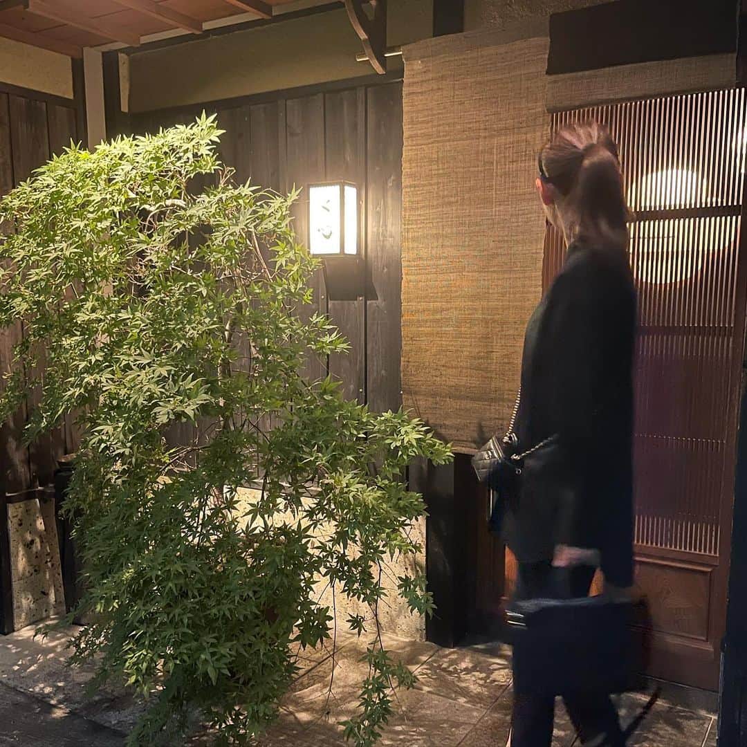 木本泉のグルメインスタ