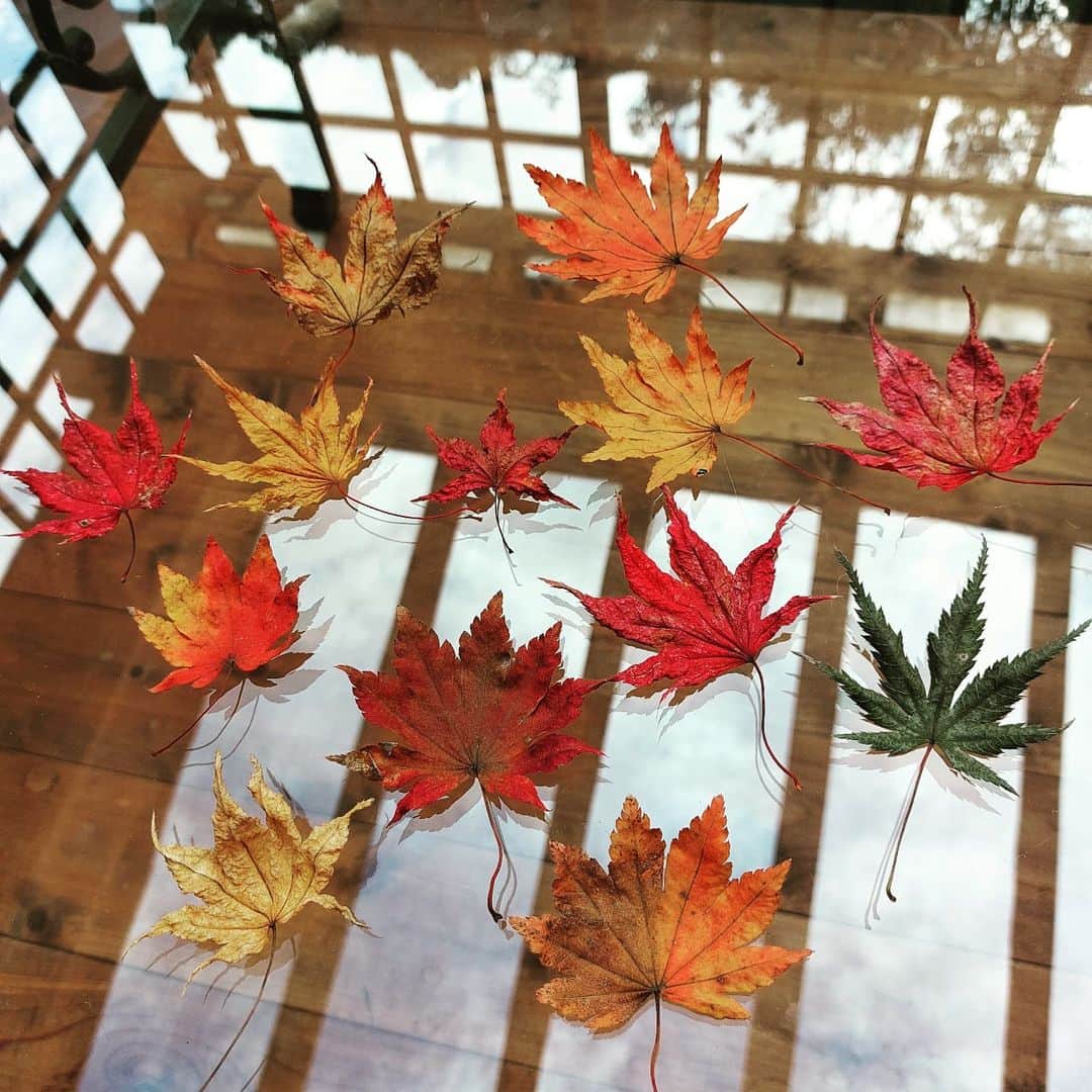 岩山立子のインスタグラム