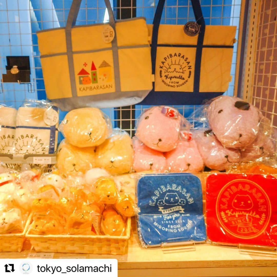 カピバラさんさんのインスタグラム写真 - (カピバラさんInstagram)「#Repost @tokyo_solamachi  ・・・ . ＜期間限定のカピバラさんに出会えるチャンス✨＞  カピバラさんの期間限定ショップが 今年もソラマチに登場！  「マジカル"キュ"リスマス」を テーマにした店舗で、 カピバラさんがあなたに魔法をかけてくれるかも…？！  この秋冬の新商品や、 催事限定品の販売もあります！😉  詳しくは公式HPをご確認ください。  ■場所 3F 6番地 ■期間 2021年11月3日（水・祝）～11月23日（火・祝）」11月6日 10時54分 - kapibarasan.official