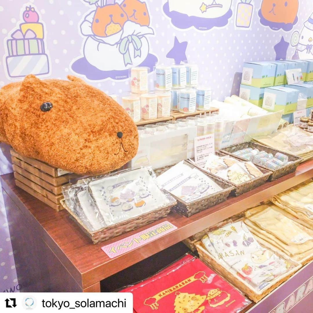 カピバラさんさんのインスタグラム写真 - (カピバラさんInstagram)「#Repost @tokyo_solamachi  ・・・ . ＜期間限定のカピバラさんに出会えるチャンス✨＞  カピバラさんの期間限定ショップが 今年もソラマチに登場！  「マジカル"キュ"リスマス」を テーマにした店舗で、 カピバラさんがあなたに魔法をかけてくれるかも…？！  この秋冬の新商品や、 催事限定品の販売もあります！😉  詳しくは公式HPをご確認ください。  ■場所 3F 6番地 ■期間 2021年11月3日（水・祝）～11月23日（火・祝）」11月6日 10時54分 - kapibarasan.official