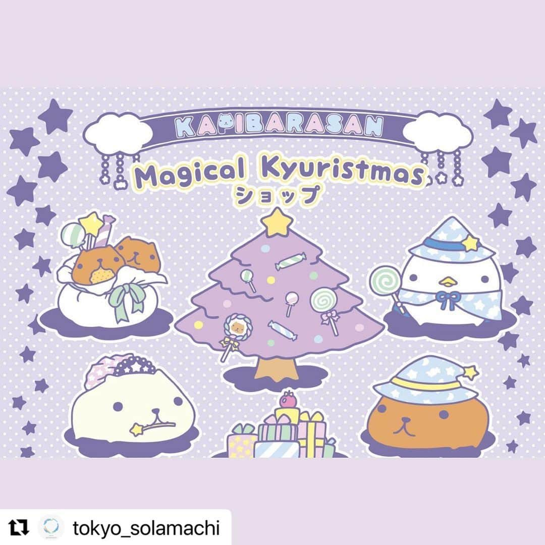 カピバラさんのインスタグラム：「#Repost @tokyo_solamachi  ・・・ . ＜期間限定のカピバラさんに出会えるチャンス✨＞  カピバラさんの期間限定ショップが 今年もソラマチに登場！  「マジカル"キュ"リスマス」を テーマにした店舗で、 カピバラさんがあなたに魔法をかけてくれるかも…？！  この秋冬の新商品や、 催事限定品の販売もあります！😉  詳しくは公式HPをご確認ください。  ■場所 3F 6番地 ■期間 2021年11月3日（水・祝）～11月23日（火・祝）」