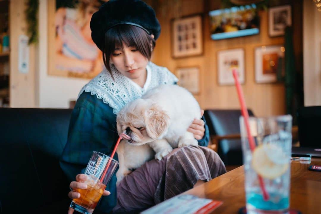 来栖うさこさんのインスタグラム写真 - (来栖うさこInstagram)「🐶👅  可愛いカフェは、 @dogdept_asakusa   #来栖うさこ  #齧り付きたいお尻 #愛媛県産グラドル #グラドル #グラビア #ショートカット女子 #お尻 #model #cosplayer #ちゃちゃまる #ペキマル #ペキニーズ #dogdept」11月6日 22時54分 - kurusu_usako