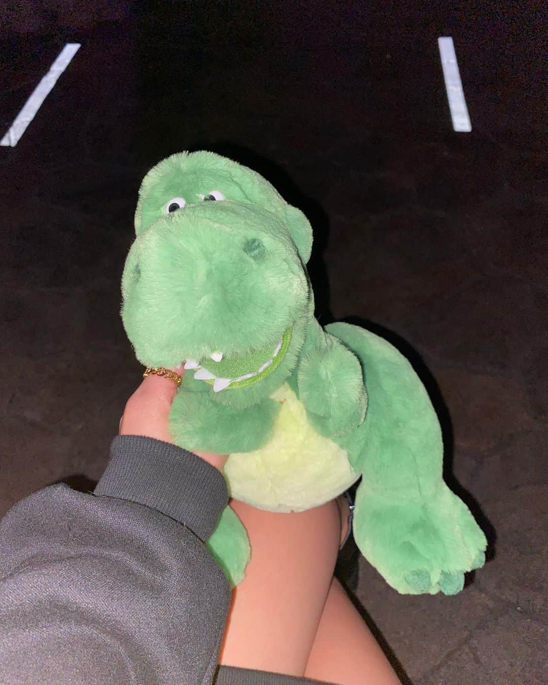 やしろななさんのインスタグラム写真 - (やしろななInstagram)「やっぱり恐竜に惹かれるみたい🦖💚 レックス可愛い〜〜〜 懐かしの　#ギャルと恐竜 だね🌼」11月6日 16時52分 - 8467_0