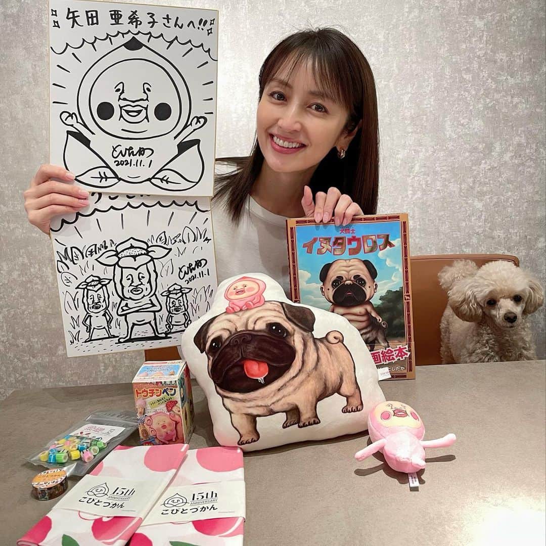 矢田亜希子さんのインスタグラム写真 - (矢田亜希子Instagram)「感動‼︎ なんとなんと私がずっと大ファンである「こびとづかん」の作者さん、なばたとしたか様からサイン入り色紙をいただきました！！！！これは嬉しすぎます。。。本当にありがとうございました‼️ #こびとづかん #なばたとしたか 様#カクレモモジリ#リトルハナガシラ#こびとづかんグッズ#絵本#10年以上前からずっとファン#グッズも家にたくさんあります#本当可愛い#息子が小さい頃はリトルハナガシラのぬいぐるみをよく片手に持って歩いていたな😍」11月6日 18時39分 - akiko_yada