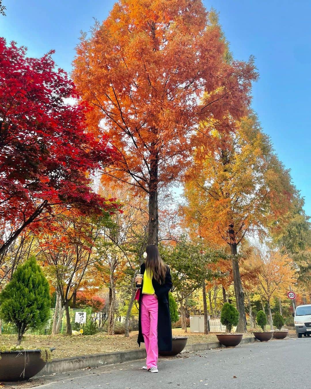 ソリョンさんのインスタグラム写真 - (ソリョンInstagram)「가을🌳🍁🍂」11月6日 19時35分 - s2seolhyuns2