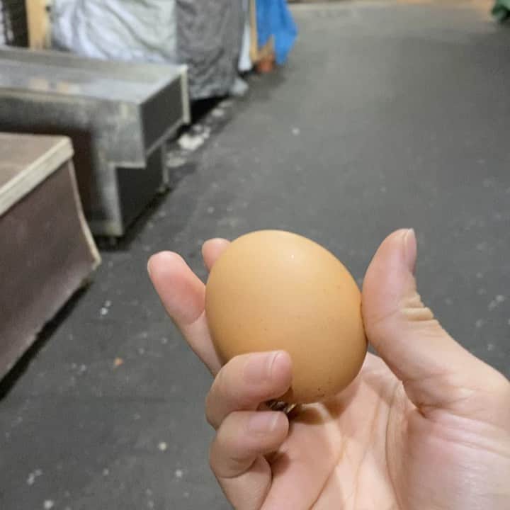 小向美奈子のグルメインスタ