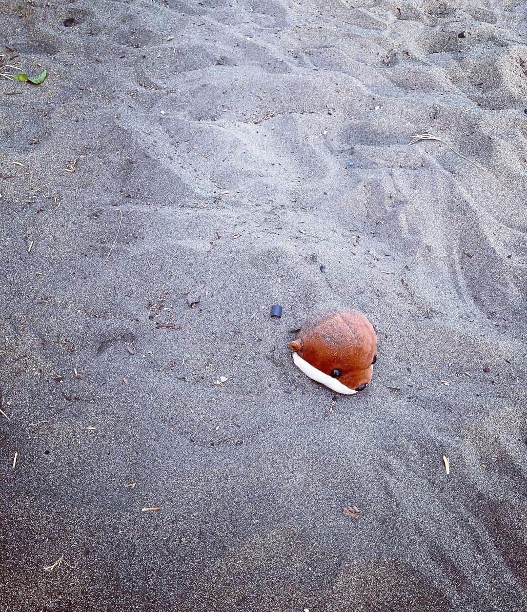 鈴木六夏さんのインスタグラム写真 - (鈴木六夏Instagram)「砂浜を、走る！泳ぐ！埋める😅  元気いっぱい！」11月7日 17時10分 - rikuka.62