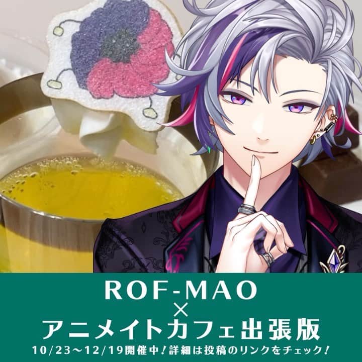 ROF-MAOのインスタグラム