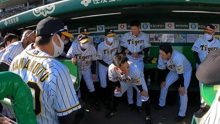 阪神タイガースのインスタグラム