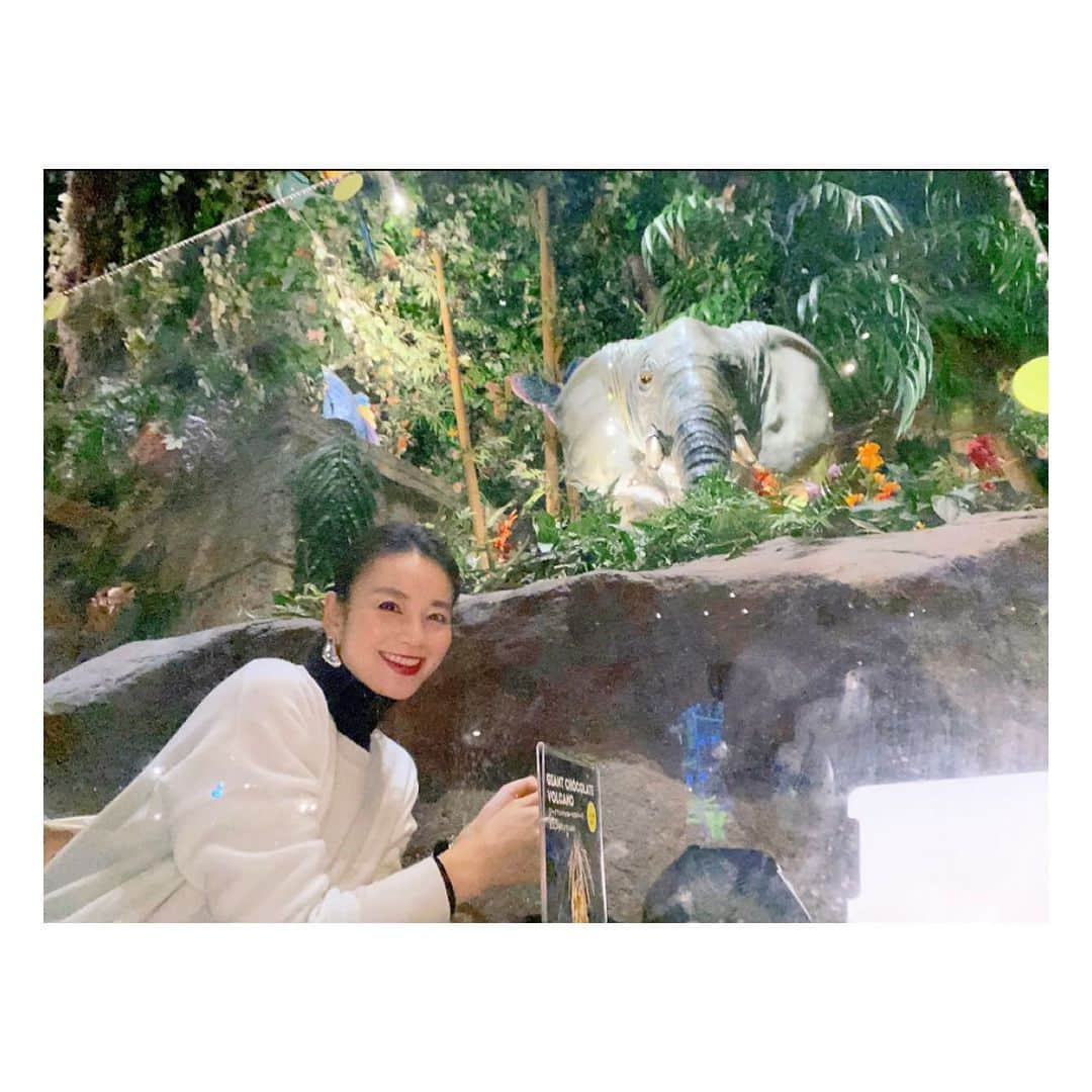 秋元玲奈さんのインスタグラム写真 - (秋元玲奈Instagram)「誕生日だったので息子を喜ばせようと、Rainforestcafeへ🐘 しかし思わぬハプニングが、、、🥲 ⬇️ https://ameblo.jp/akimoto-rena/entry-12708680023.html  #アメブロ更新 #レインフォレストカフェ #rainforestcafe  #ジャングル #4歳誕生日 #息子」11月7日 14時24分 - rena_akimoto