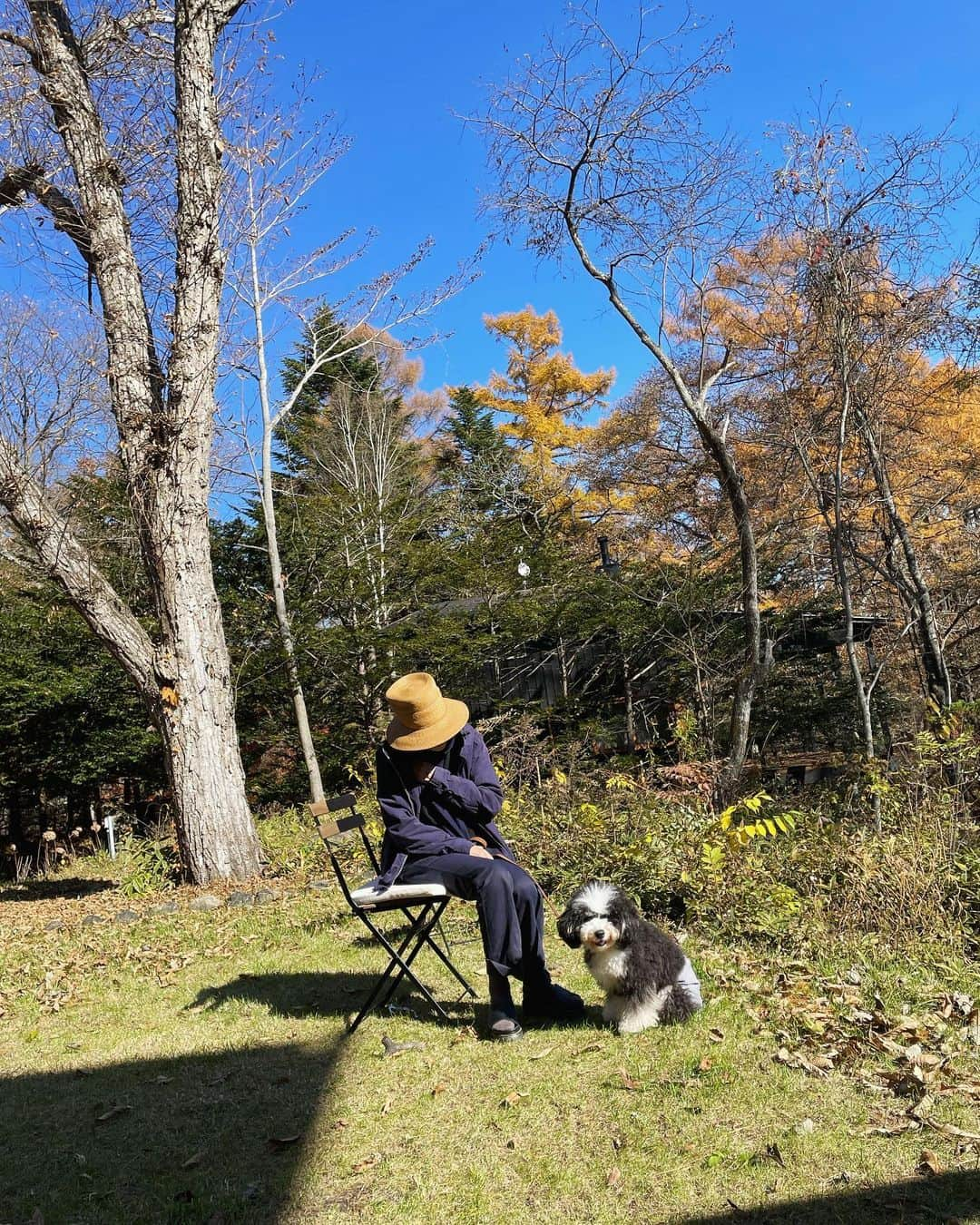 高橋幸宏さんのインスタグラム写真 - (高橋幸宏Instagram)「日向ぼっこ。パスキャルは少し暑いって！ うん、黒いとこだけ暑くなるよね。 少しお日様にあたって免疫力アップ！ パスキャルはやはり可愛いや。 #pascal  #sunlight」11月7日 14時44分 - room66_yukihiro