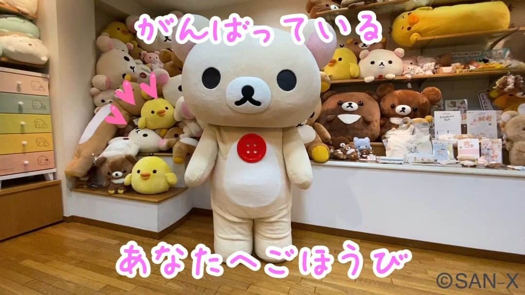 ☆期間限定リラックマ公式Instagram☆のインスタグラム