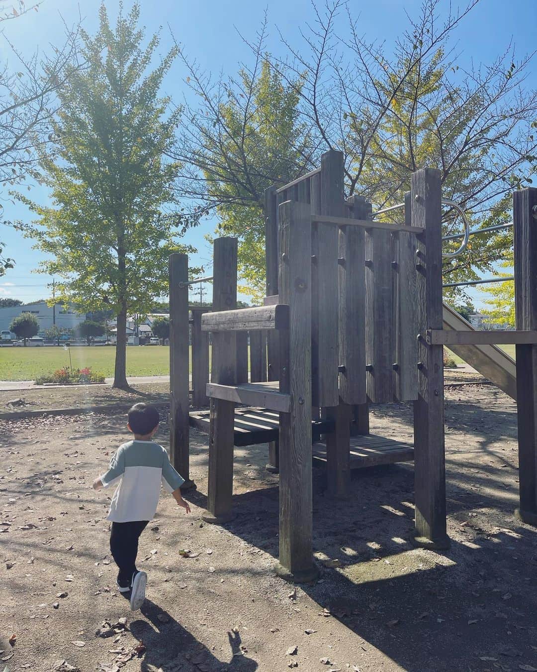 本田朋子さんのインスタグラム写真 - (本田朋子Instagram)「銀杏も色づき始めた公園で。 わんぱくボーイは今日も駆け回って元気いっぱい！ ナナさんも走ってリフレッシュ。 沢山動いたおかげでお腹ぺこぺこになり、インドカレーをテイクアウト。 食べ過ぎてみんなで爆睡しました。 平和な1日に感謝♡  #群馬 #太田 #2歳11ヵ月  #男の子ママ  #本田朋子のweekly献立  #夕飯 #献立 #レシピ #amazon #楽天 #オンラインストア #全国の書店で発売中」10月14日 17時57分 - tomoko_honda_official_phonics