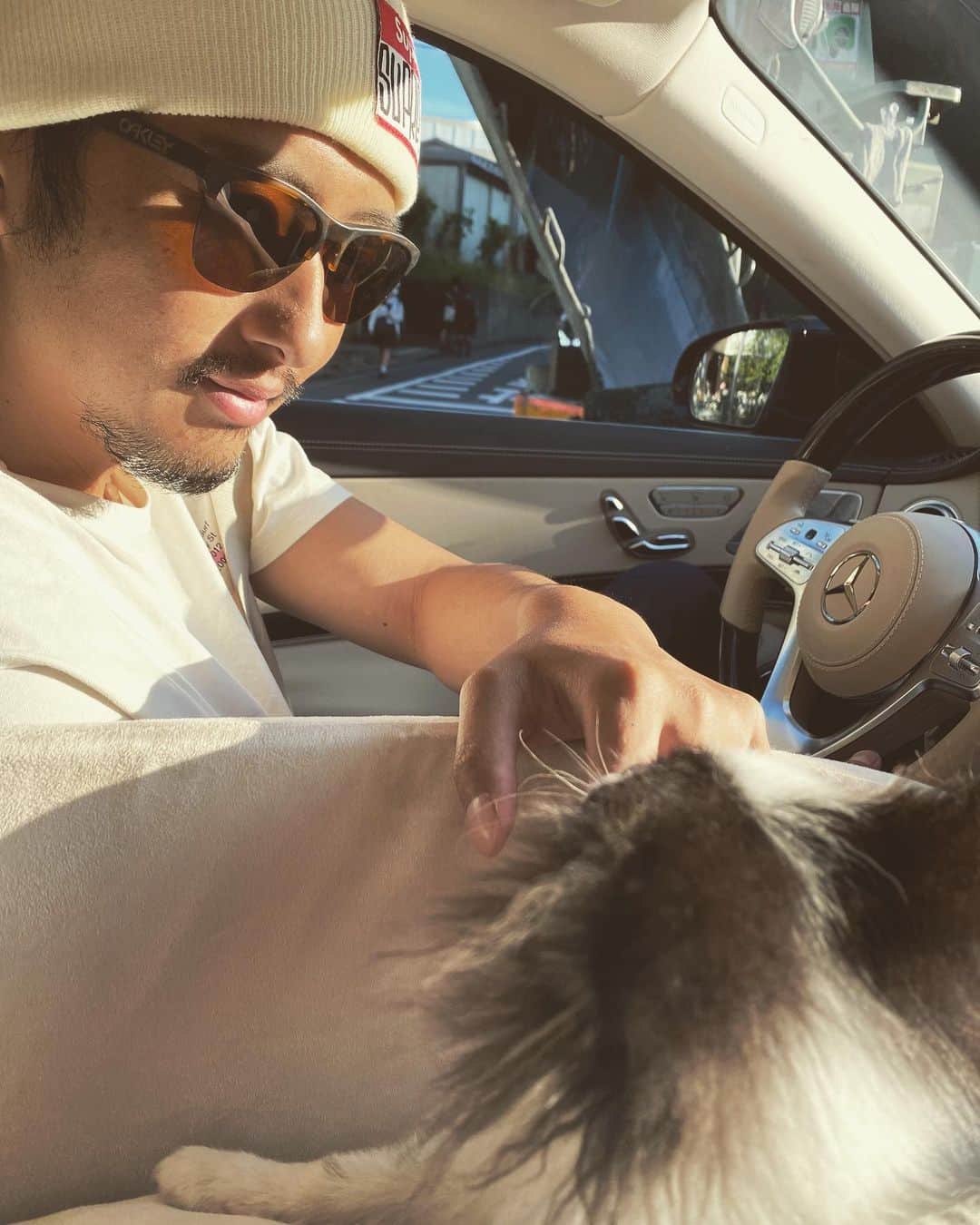 柴田翔平のインスタグラム：「ドライブwithトロ @toro_aka_keiki 😂」