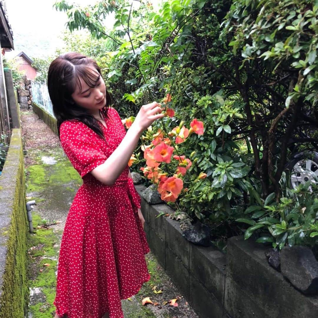 森戸知沙希さんのインスタグラム写真 - (森戸知沙希Instagram)「🌿☔️🌺 　　　 　　　　　　 　　　　　　　 　　　　 ついに明日 モーニング娘。'21森戸知沙希写真集 「with thanks」発売日です🌱 　　　 　　　 SHIBUYA TSUTAYAさんにて発売記念イベントもお待ちしてます🙌 　　　 　　 　　　　　　　　 　　　 　　　 　　　 　　　 #withthanks  #発売  #屋久島  #写真集  #写真集発売  #森戸知沙希  #ワニブックス さん #お話会  #楽しみです  #morningmusume21  #helloproject  #モーニング娘21」10月14日 22時12分 - chisaki__morito.official