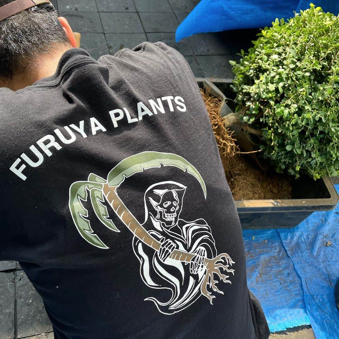 滝沢伸介さんのインスタグラム写真 - (滝沢伸介Instagram)「"Palm Reaper" @furuya_plants  #plantsinanarchy  🔝🔝🔝🔝🔝 designed by me.」10月15日 21時31分 - sin_takizawa