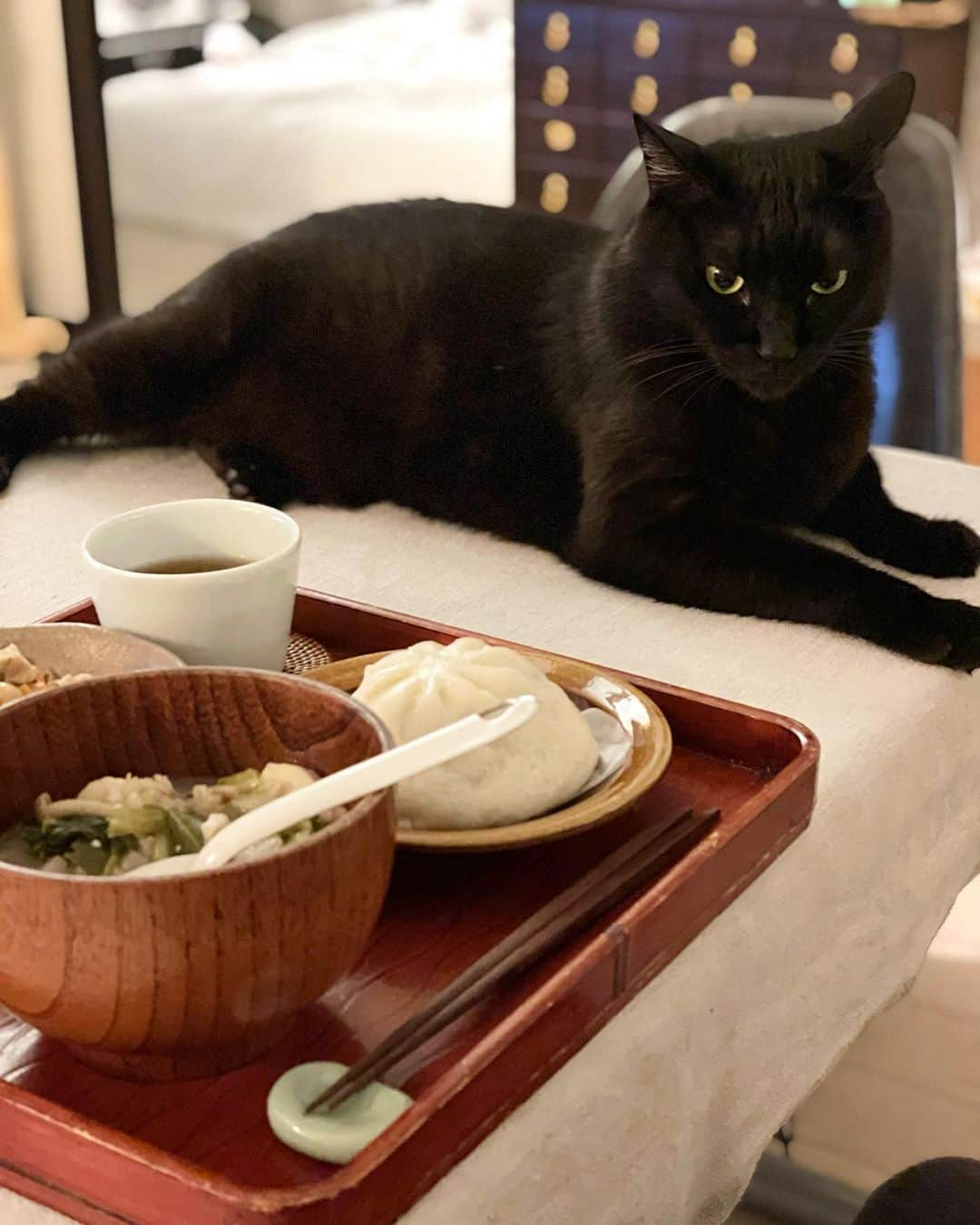 猫沢エミさんのインスタグラム写真 - (猫沢エミInstagram)「手前のごはんと、ごはんの黒い騎士・ピガ兄のカッコよさのギャップ…😂  ぐっすり眠っていても、席につくと飛んできて付き合ってくれるピガ兄。ひとり暮らしだけど、ひとりでごはんを食べることはほぼない。ピガがたまに眠り込んでいるときは、代わりにユピ坊がついてくれる。  このふたりの連携は、イオちゃんの見送り時にもきっちり行われていた。なんて優しい子たちなのかと日々思う。  猫の社会性、家族への思いやり……これまで定説とされていた猫のイメージ（単独で生きる、自分勝手etc...）って違うと思うんだよなぁ。  #ピガ兄　#猫沢飯」10月15日 22時39分 - necozawaemi