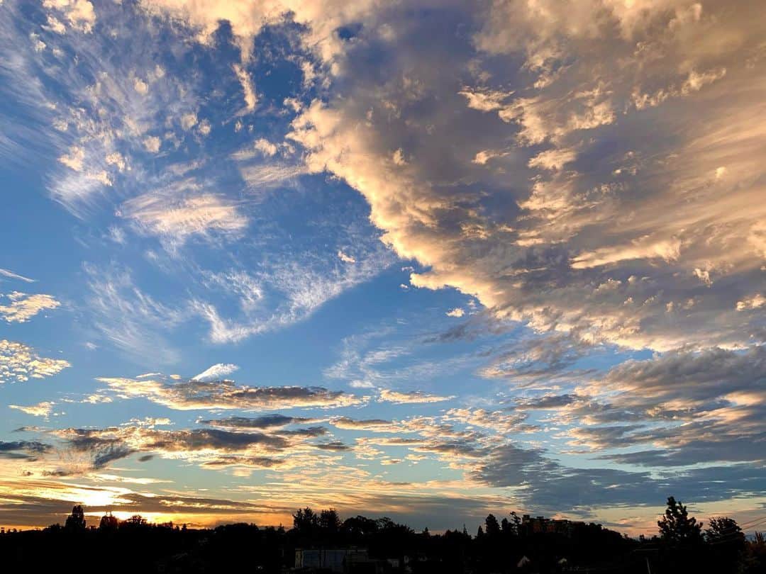 横井玲のインスタグラム：「To live as vivid and dramatic as your soul, do something you love☁️🌞🌔❄️🌬🌚  自分が心底好きな事をする、好きな物に触れられる環境や時間を作ること、本当に大切。 忙殺されそうになるとつい、そんな「自分の為の時間」から削ってしまうけれど、やりたい事をすることで、やるべき事にキチンと向き合える気がします。 動物に触れる、料理をする、自然の中で体を動かす、歌う、聴く、一人旅をする、素敵な朝日や夕焼けを見る。 そんな時間をもっと増やさなくては٩( ᐛ )و  #sky #skylovers #skyporn #cloudporn #clouds #cloudsofinstagram #cloudlovers #colorful #vivid #dramatic #beautiful #favorite #liveyourbestlife  #好きな事 #自分の気持ち #大切に #夕焼け #雲が好き」