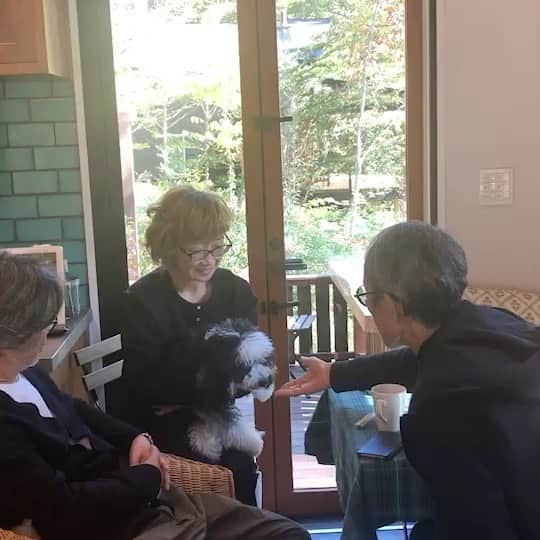 のインスタグラム：「家の中からテラスでランチ、で、みんなで散歩。ちょっと疲れ気味なおじさん2人.！ 最後パスキャルは当然カメラ目線で。 ＃おさんぽ #stroll  #lunch」