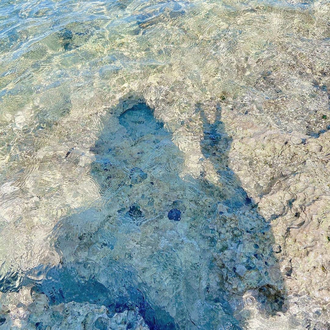 sarimaru(国木田さりまる)のインスタグラム