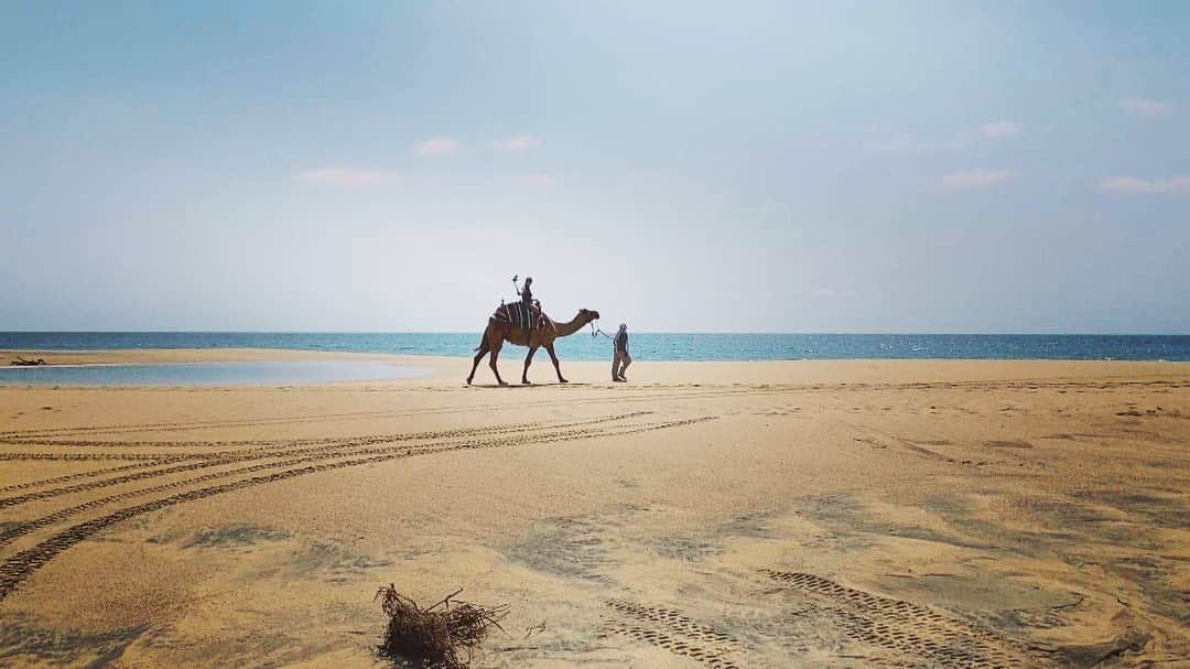 TBS「世界さまぁ～リゾート」のインスタグラム：「今日深夜0時からの放送は🙌💕 🏖世界ビーチウォーカーinメキシコ・ロスカボス🏖 開放感溢れる白砂のビーチに🌻🌈 癒しの動物と海沿い散歩🐫🏝 一度は行ってみたいナイトストリートまで🍹🌺 たっぷりとご紹介！💁‍♀️💓 ゲストは小木博明さんです🌙🌟 ぜひご覧ください〜 ✨👀✨  #世界さまぁーリゾート #さまリゾ #さまりぞ #summerresort #さまぁーず #三村マサカズ #大竹一樹 #小木博明 #メキシコ #ロスカボス #世界」