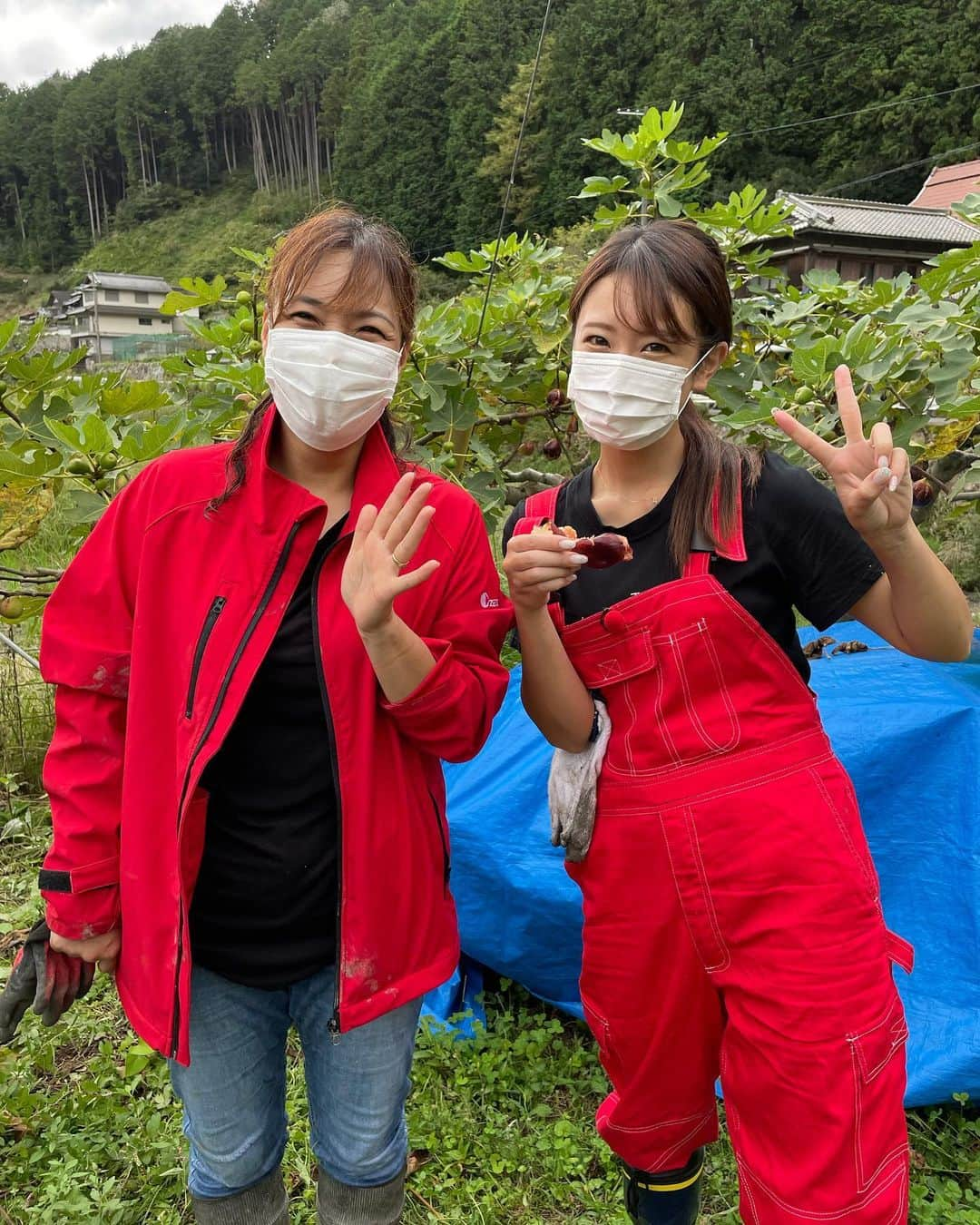 福本愛菜さんのインスタグラム写真 - (福本愛菜Instagram)「山添村で農業をされてる下川さん🤍  レンコンの収穫って繊細やけど、なかなかの力仕事で🥺🥺🥺 私は少しの体験で汗だくなってて💦 いつもされてる下川さんかっこいいって心から思いました🥺👏💕  #奈良 #山添村 #自然派農場しもかわ #農業 #農業女子 #レンコン #蓮根 #収穫 #達成感」10月16日 15時33分 - aina_fukumoto