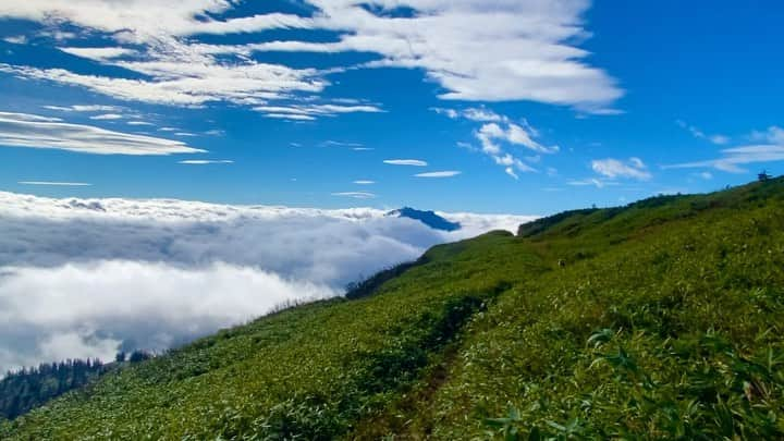 福島和可菜のインスタグラム：「山最高ー⛰  昨日はロードでしたが、 今日は山ラン🏃‍♂️  あっ、 今日も流しです🤣❤️（笑）  #昨日とペースが違い過ぎる #だって山だもの #笑 #Love #running #outdoor #mountain #trail #trailrunning #run #and #beer #Tシャツ #Movie #撮影 #お楽しみに #山 #晴れ #peak #太陽を浴びたいよう #☀️ #⛰ #✨ #😊 #☺️ #🏃‍♂️ #👟 #🍺 #❤️」