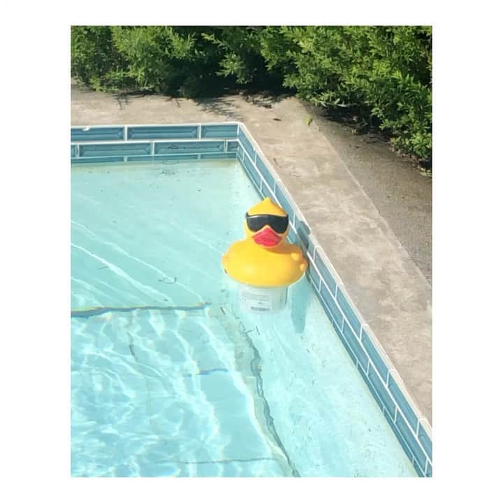 のインスタグラム：「#週刊ポスト 買ったよ〜という報告が続々ときていて嬉しいです。 これは撮影のときプールにいたアヒルちゃん😎」