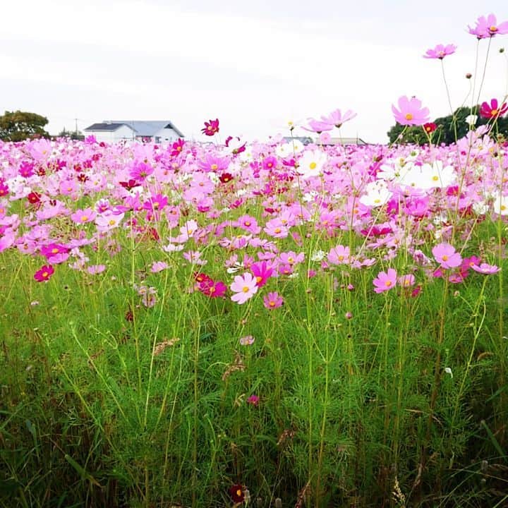 和田益典のインスタグラム