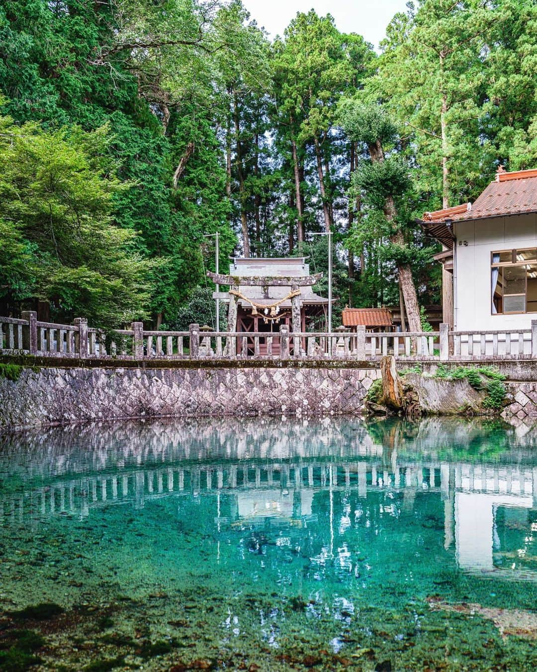 SHOCK EYEさんのインスタグラム写真 - (SHOCK EYEInstagram)「山口県に訪れた時、偶然に見つけた別府厳島神社の別府弁天池✨  実は隠れたパワースポットとして、密かに注目を集めているらしく、 神秘的なコバルトブルーに輝く池にビックリしたよ。  日本名水百選にも選ばれるほど、透き通った清々しい水。  カルシウムやミネラル分がたっぷりの湧水の健康効果から、飲むと寿命が延びると言われ、長寿や、財運を授かるご利益があると言われているよ＾＾  皆、この場所知ってた？  #別府厳島神社 #別府弁天池 #山口県 #yamaguchiprefecture #beppubentenike #japantravel #japantrip #fujifilm #gfx100s #xs10 #beautifuldestinations #discoverjapan #discoverearth #voyaged #awesome_photographers #IamATraveler #wonderful_places #japanphoto #japanphotography #japan_of_insta #livingonearth #theglobewanderer」10月16日 19時47分 - shockeye_official