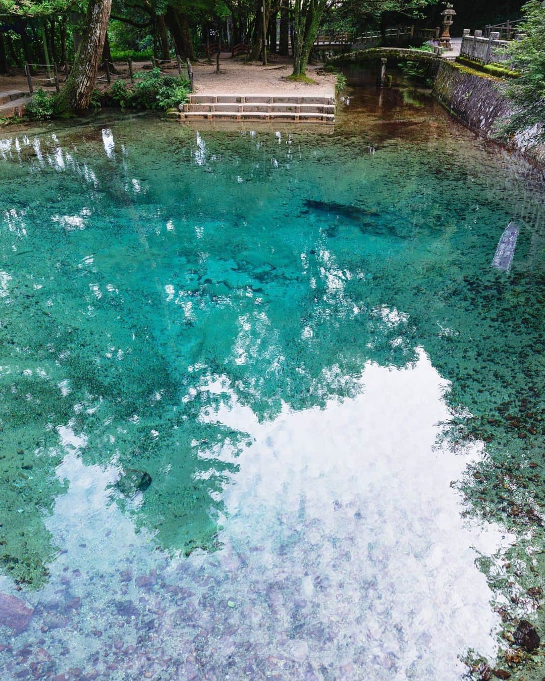 SHOCK EYEさんのインスタグラム写真 - (SHOCK EYEInstagram)「山口県に訪れた時、偶然に見つけた別府厳島神社の別府弁天池✨  実は隠れたパワースポットとして、密かに注目を集めているらしく、 神秘的なコバルトブルーに輝く池にビックリしたよ。  日本名水百選にも選ばれるほど、透き通った清々しい水。  カルシウムやミネラル分がたっぷりの湧水の健康効果から、飲むと寿命が延びると言われ、長寿や、財運を授かるご利益があると言われているよ＾＾  皆、この場所知ってた？  #別府厳島神社 #別府弁天池 #山口県 #yamaguchiprefecture #beppubentenike #japantravel #japantrip #fujifilm #gfx100s #xs10 #beautifuldestinations #discoverjapan #discoverearth #voyaged #awesome_photographers #IamATraveler #wonderful_places #japanphoto #japanphotography #japan_of_insta #livingonearth #theglobewanderer」10月16日 19時47分 - shockeye_official
