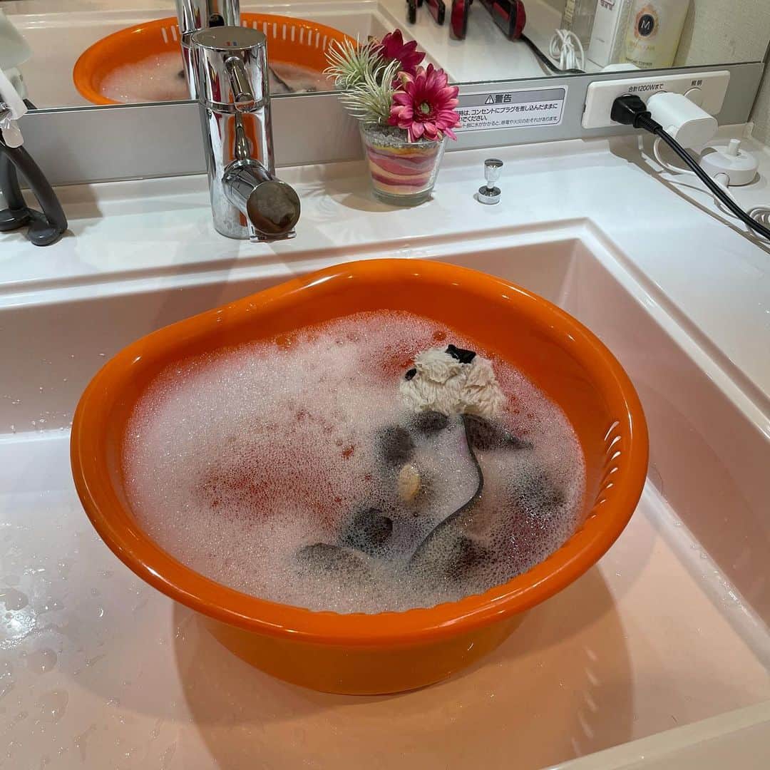 ストロー先輩さんのインスタグラム写真 - (ストロー先輩Instagram)「せいさくがお風呂に入ってます あわぶろ」10月16日 20時31分 - kan.youtube