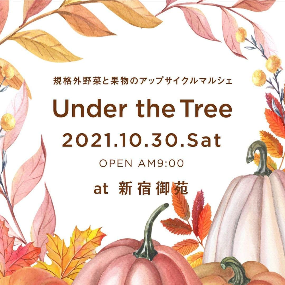 近藤しづかさんのインスタグラム写真 - (近藤しづかInstagram)「お待たせしました！ 10月30日は「食品ロス削減デー」 規格外野菜マルシェを開催します🥕  10/30(土)9:00〜12:00 @新宿御苑  今回は、事前予約ではなく 予約なしでOK!  朝市みたいに普通にやっていますので ふらっと立ち寄って お気軽に遊びに来て下さい😊 (新宿御苑の入園料は別途かかります) (エコバッグを持参して頂けると便利かと思います♻️)  販売予定の野菜さんたちは、 実際私たちが農家さんへ足を運び出会った 本来、捨てられてしまうコたちです🧄  私は当日の朝、準備の方を少しお手伝いさせて頂く予定でお会いできるかわからないのですが、  この企画で少しでも多くのフードロスが削減されますように、心から祈っています💫✨✨  #フードロス削減 #規格外野菜 #フードロス削減プロジェクト #アップサイクルマルシェ  #フードロス削減の日  #世界食糧デー月間 #食品ロス #foodwaste #foodloss  #reducingfoodwaste #worldfoodday」10月16日 21時01分 - shizuka_kondo