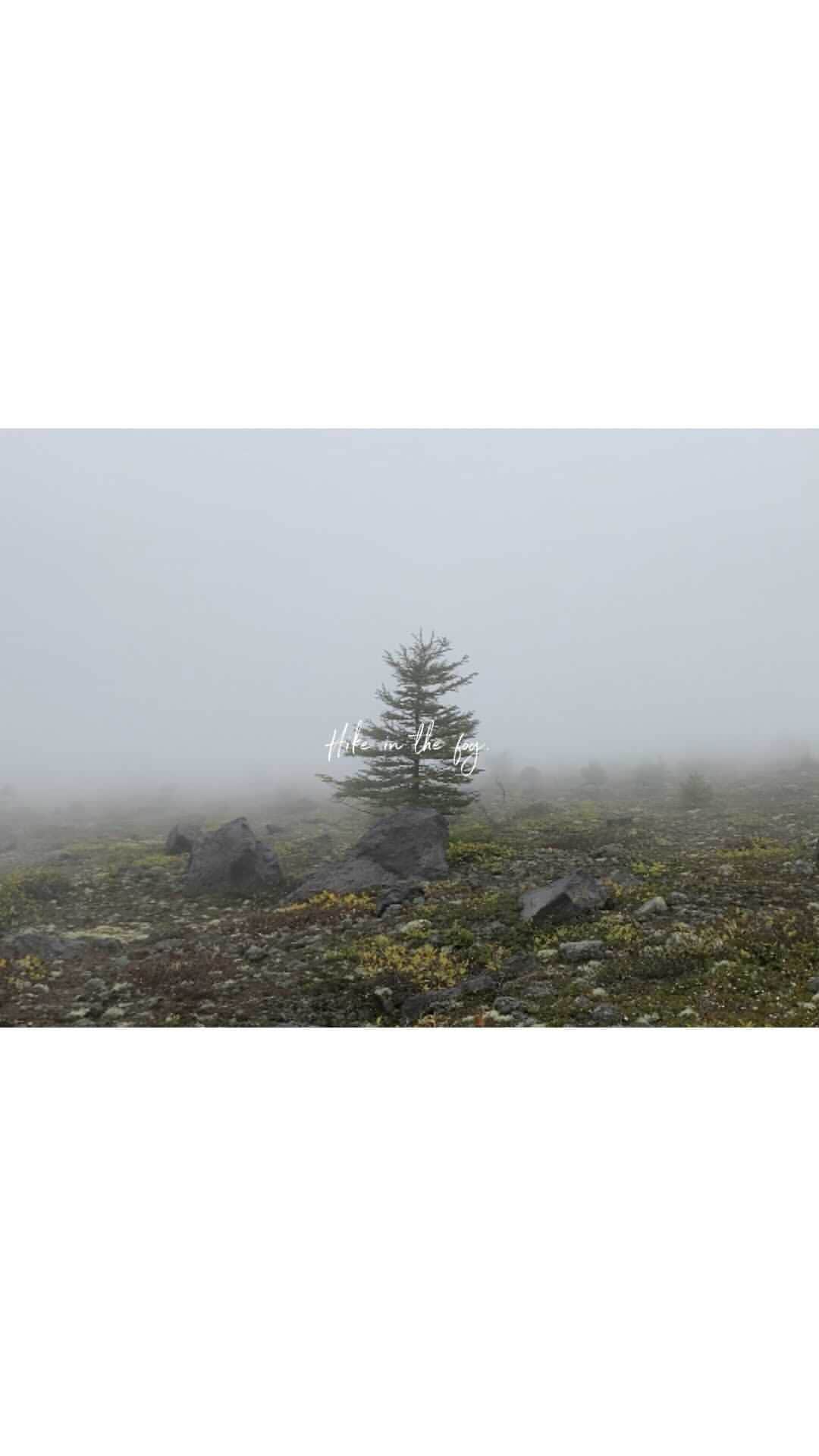 Hikaruのインスタグラム：「Hike in the fog.  #hokkaido #movie  #video  #instagram #山と道 #yamap」