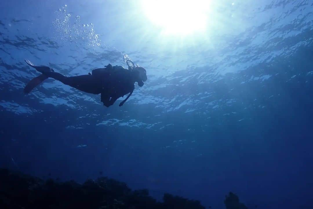 河西歩果のインスタグラム：「吸って、吐いて、水流に乗って。  素肌で海水に触れて、 自分の呼吸に集中する。 究極の瞑想なのかもしれない。  いつも海の中は異世界で、 心地良い水の音に包まれていて、 心がスッと軽くなる。」