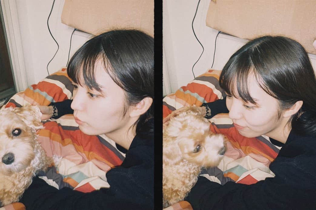 美緒のインスタグラム：「タイタニックで大型犬が救命ボートに乗ることができず飼い主さんと船に残った話をを知ってから、より一層長生きしような🐶の気持ちになっています。 #タイタニック #映画 #マルプー #まるぷー #マルプー連合 #愛犬」