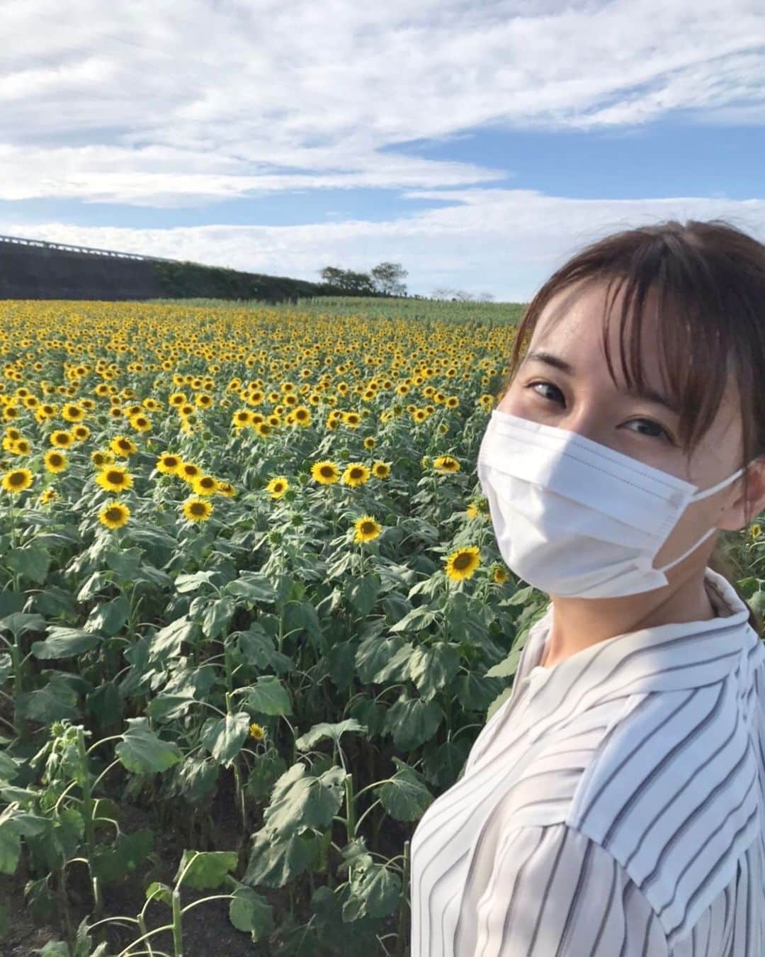 望木聡子さんのインスタグラム写真 - (望木聡子Instagram)「秋の #ヒマワリ 🌻 誕生日、ロケ帰りに降ろしてもらいました🚌  季節の花を見に行くのが大好きです。 お花を10本切って持って帰れるのだけれど… そのままにしておきました☺️  #観光農園花ひろば #南知多町 #秋 #向日葵 #メーテレ #ドデスカ #アナウンサー #望木聡子」10月17日 17時51分 - satoko_mochiki