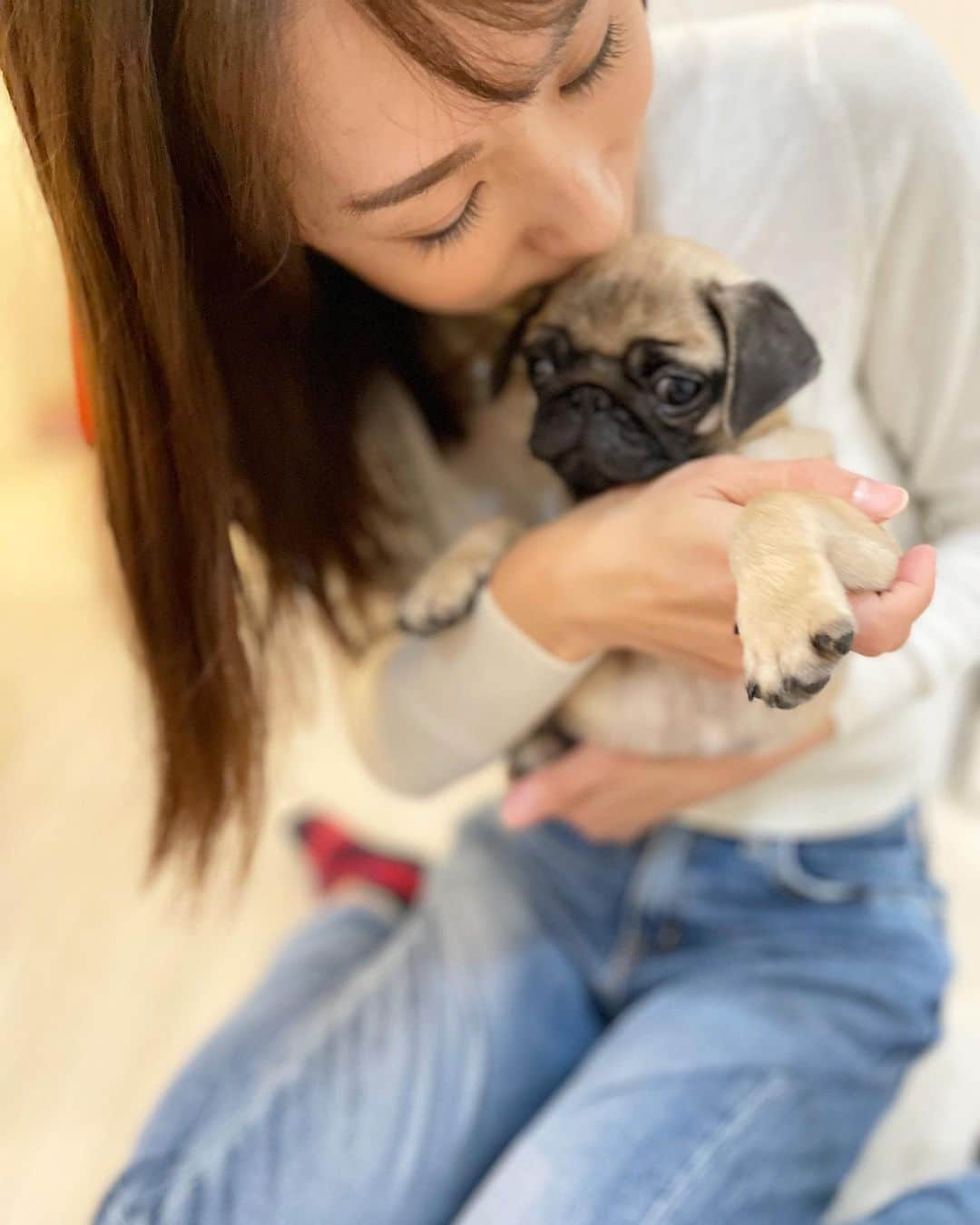 堂真理子さんのインスタグラム写真 - (堂真理子Instagram)「友達が子犬のパグを飼い始めたので、会いに行ってきました🐶💕可愛すぎて癒されました🥰✨ 子供達も犬に触れ合って喜んでいました♫  今日は雨で寒いですね☔️❄️ 暖かくしてお過ごし下さい☺️   #おうち時間 #犬 #ワンちゃん #パグ  #子犬 #可愛い  #堂真理子 #テレビ朝日 #アナウンサー」10月17日 11時59分 - mariko_do