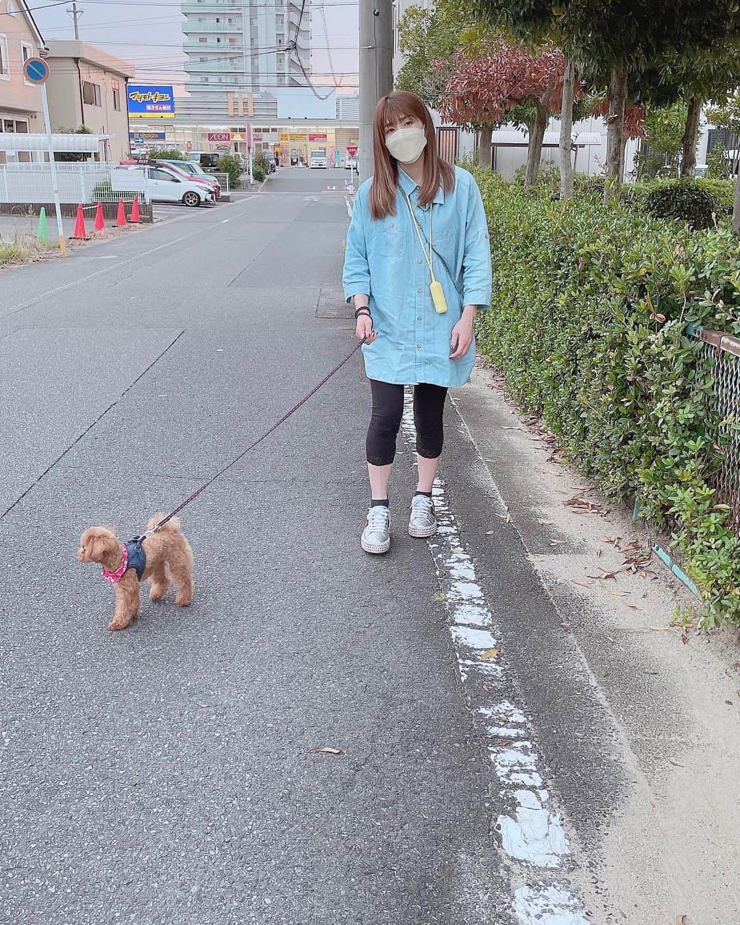 吉田沙保里さんのインスタグラム写真 - (吉田沙保里Instagram)「最近は気候もよくて、リリーとお散歩に出かけることが多くなったよ🐶❤︎ ずっと家の中にいるのは退屈だもんね…😂 晴れた日は、たくさんお散歩しようね😉✨  #お散歩 #リリー #トイプードル #女の子」10月17日 12時27分 - saori___yoshida